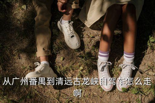 廣州至清遠古龍峽，從廣州番禺到清遠古龍峽自駕車怎么走啊