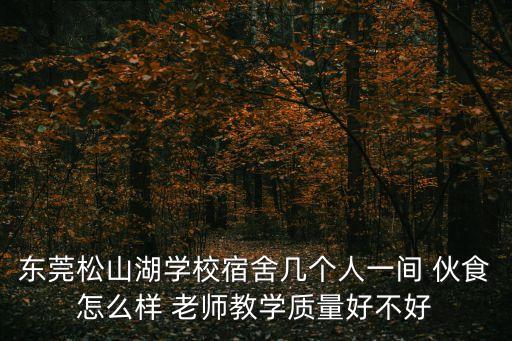 東莞松山湖學校宿舍幾個人一間 伙食怎么樣 老師教學質量好不好
