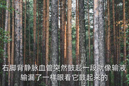 右腳背靜脈血管突然鼓起一段就像輸液輸漏了一樣眼看它鼓起來的