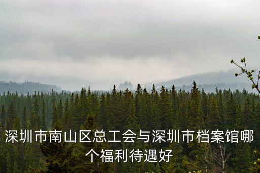 深圳市南山區總工會與深圳市檔案館哪個福利待遇好