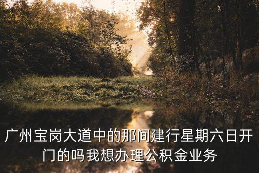 廣州寶崗大道中的那間建行星期六日開門的嗎我想辦理公積金業務