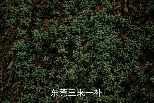 東莞三來一補
