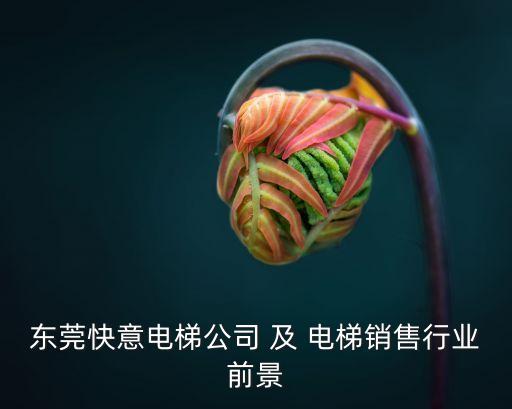 東莞快意電梯公司 及 電梯銷售行業前景