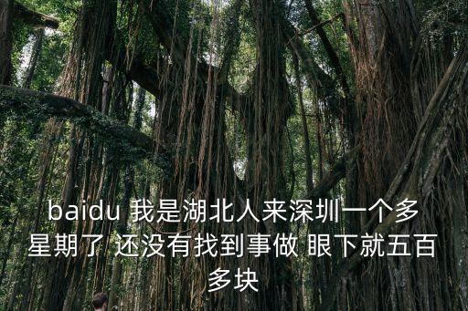 湖北女子網約深圳，baidu 我是湖北人來深圳一個多星期了 還沒有找到事做 眼下就五百多塊