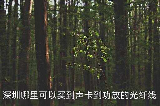 深圳聲聯(lián)網(wǎng)，深圳聲牙科技互聯(lián)網(wǎng)流量變現(xiàn)效果如何