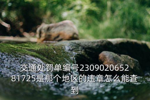 交通處罰單編號230902065281725是那個地區的違章怎么能查到