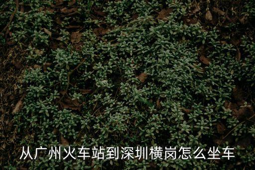 從廣州火車站到深圳橫崗怎么坐車