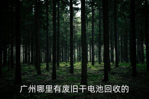 廣州哪里有廢舊干電池回收的