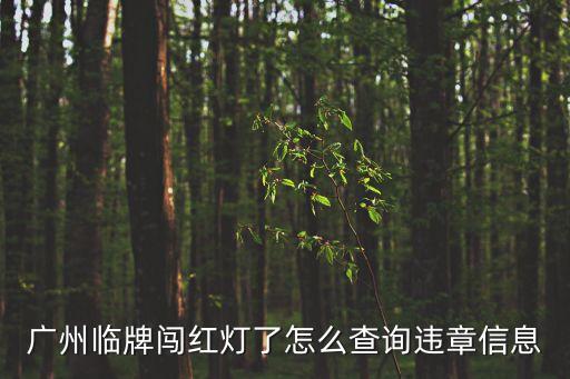 廣州臨時牌闖紅燈，廣州臨牌闖紅燈了怎么查詢違章信息