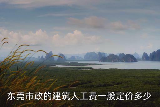 東莞市政的建筑人工費一般定價多少