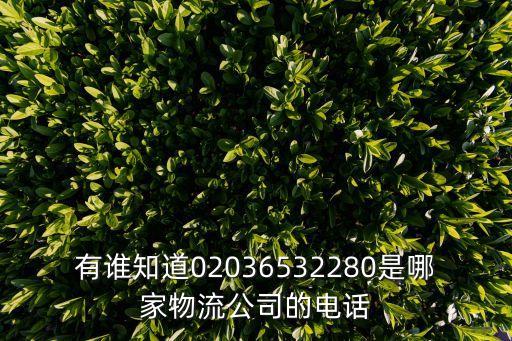 有誰知道02036532280是哪家物流公司的電話