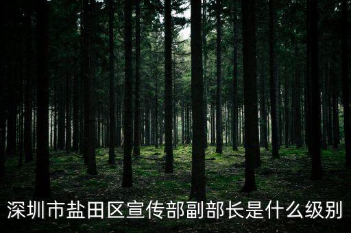 深圳鹽田區級別，深圳鹽田區屬于市區嗎