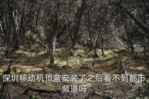 深圳移動機頂盒安裝了之后看不到都市頻道嗎
