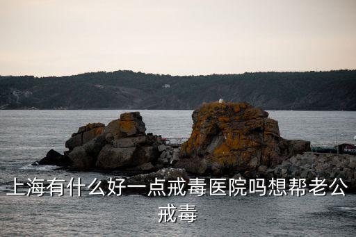 上海市自愿戒毒醫(yī)院，上海有什么好一點(diǎn)戒毒醫(yī)院?jiǎn)嵯霂屠瞎涠?/></a></span><span id=