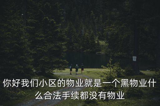 你好我們小區的物業就是一個黑物業什么合法手續都沒有物業