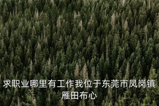 求職業哪里有工作我位于東莞市鳳崗鎮雁田布心