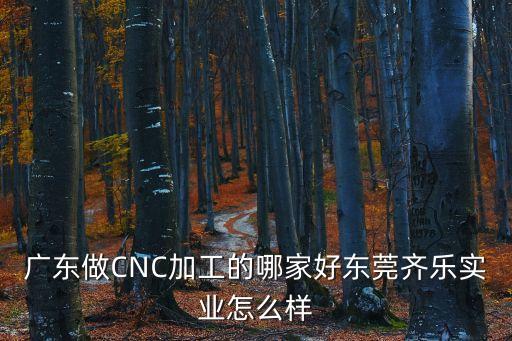 東莞大嶺山零件cnc加工哪家好，東莞東城哪里有專業CNC加工