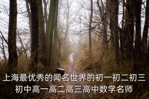上海最優秀的聞名世界的初一初二初三初中高一高二高三高中數學名師