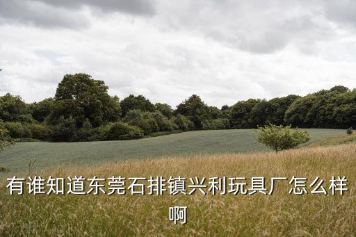 東莞石排興利玩具廠工資，有誰知道東莞石排鎮興利玩具廠怎么樣啊
