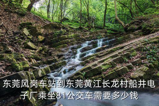 東莞風崗車站到東莞黃江長龍村船井電子廠乘坐81公交車需要多少錢