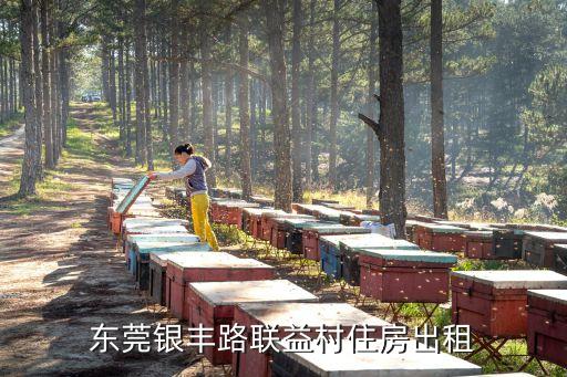 東莞銀豐路聯益村住房出租