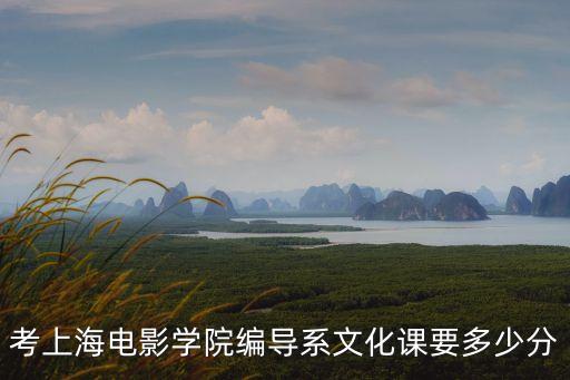 考上海電影學院編導系文化課要多少分