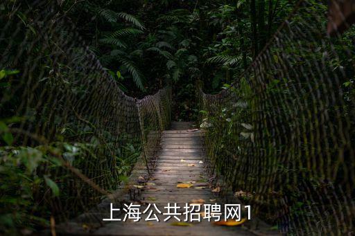 上海市公共衛生人才招聘，上海公共招聘網1