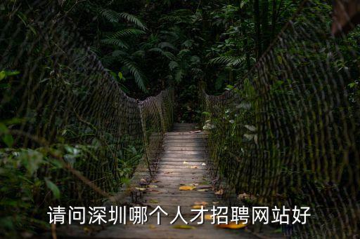 請問深圳哪個人才招聘網站好