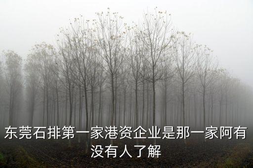東莞石排第一家港資企業是那一家阿有沒有人了解