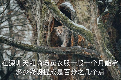 在深圳天虹商場賣衣服一般一個月能拿多少錢呀提成是百分之幾個點