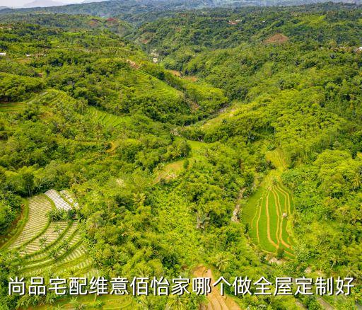尚品宅配維意佰怡家哪個做全屋定制好