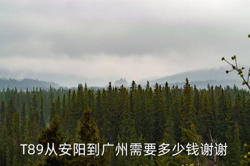 T89從安陽到廣州需要多少錢謝謝