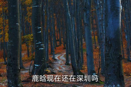 鹿晗現在還在深圳嗎