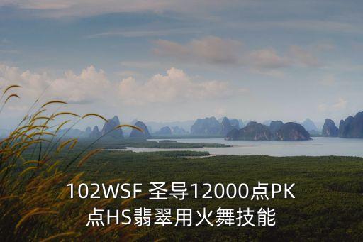 102WSF 圣導12000點PK點HS翡翠用火舞技能