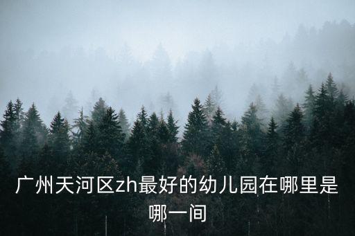 廣州天河區華港幼兒園，廣州市天河區新月街戶口的孩子該去哪個幼兒園和小學