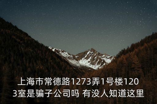 上海市常德路1273弄1號樓1203室是騙子公司嗎 有沒人知道這里