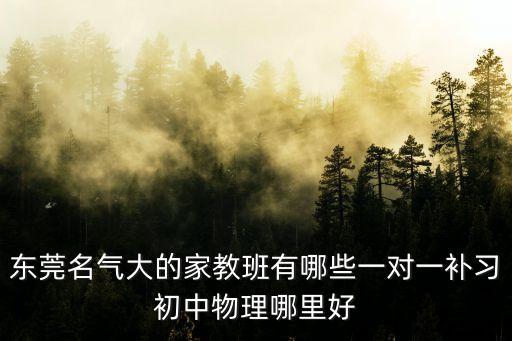 東莞的午托輔導機構有哪些，東莞有哪些好的一對一輔導機構開學系統精輔初高中文化課