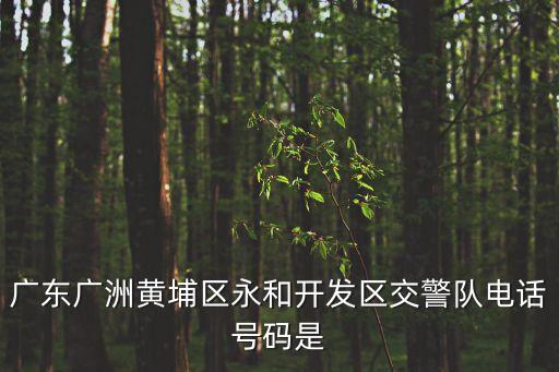 廣州黃埔交通咨詢電話，廣東廣洲黃埔區永和開發區交警隊電話號碼是
