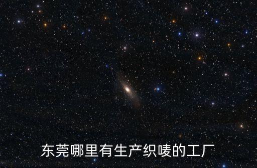 東莞哪里有生產織嘜的工廠