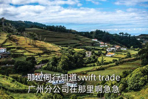 那位同行知道swift trade廣州分公司在那里啊急急