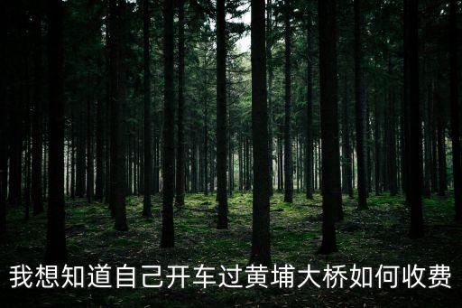 廣州黃埔大橋收費(fèi)單位，黃埔大橋節(jié)假日十月一日收費(fèi)嗎