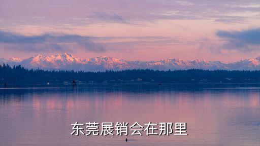 東莞展銷會在那里