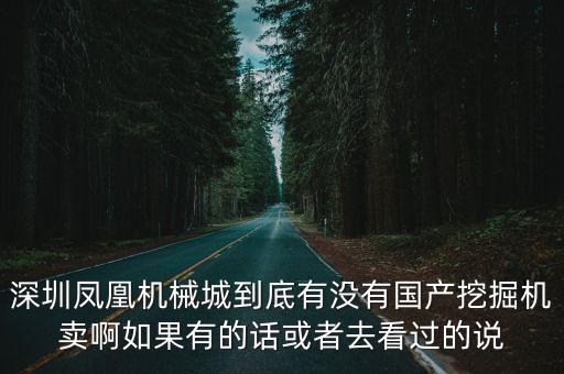 深圳挖土機市場，深圳鳳凰機械城到底有沒有國產挖掘機賣啊如果有的話或者去看過的說
