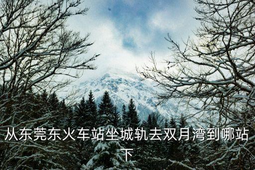 東莞東站到惠州雙月灣怎么走，求東莞總站到惠東雙月灣最短路線