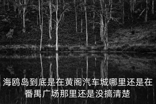 海鷗島到底是在黃閣汽車城哪里還是在番禺廣場那里還是沒搞清楚