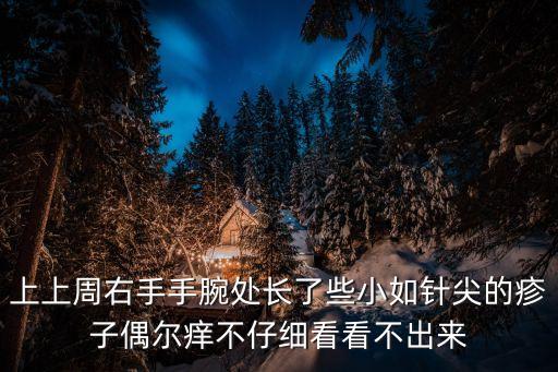 上上周右手手腕處長了些小如針尖的疹子偶爾癢不仔細看看不出來