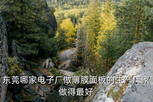 東莞哪家電子廠做薄膜面板的生產(chǎn)廠家做得最好