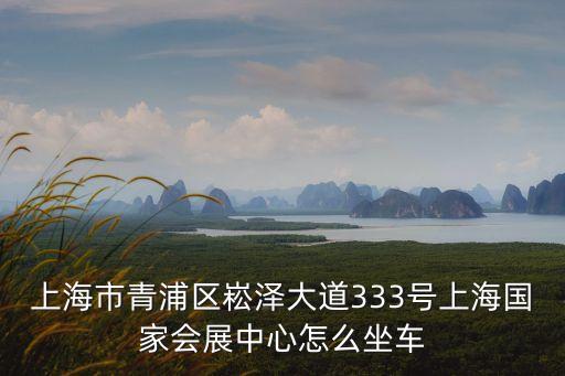 上海市青浦區崧澤大道333號上海國家會展中心怎么坐車
