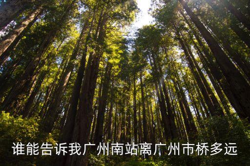 廣州南離市橋車站遠(yuǎn)嗎，市橋車站至廣州南有多遠(yuǎn)