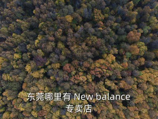 東莞哪里有 New balance專賣店